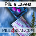 Lavest Pill 37